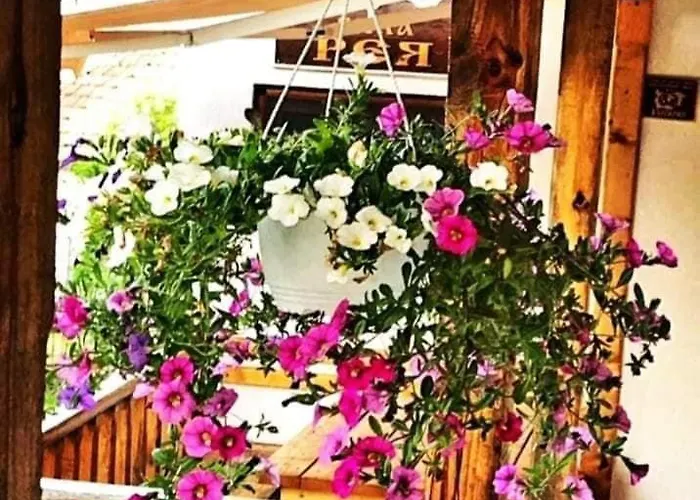 Σπίτι διακοπών рея