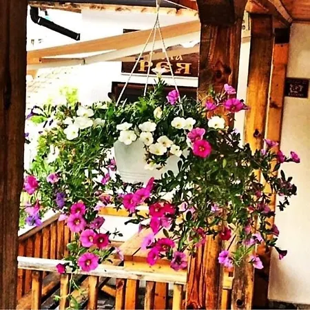 Holiday home рея
